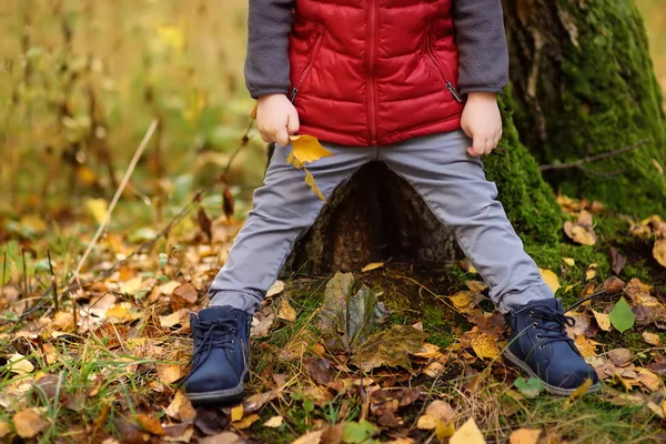 Malý Chlapec Během Procházky Lese Slunečný Podzimní Den Aktivní Čas — Stock fotografie