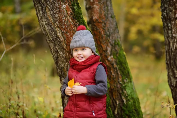 Ragazzino Durante Una Passeggiata Nella Foresta Nella Soleggiata Giornata Autunnale — Foto Stock