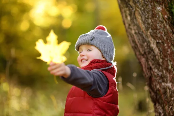 Klein Kind Wandelen Het Stadspark Herfstdag Peuter Jongen Genieten Van — Stockfoto