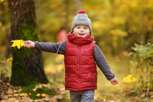 Ragazzino Durante Una Passeggiata Nella Foresta Nella Soleggiata Giornata Autunnale — Foto Stock