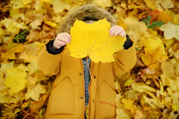 Niño Pequeño Durante Paseo Por Bosque Soleado Día Otoño Tiempo —  Fotos de Stock