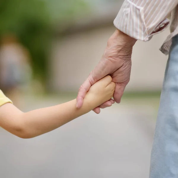 Schöne Oma Und Ihr Kleines Enkelkind Zusammen Park Spazieren Gehen — Stockfoto