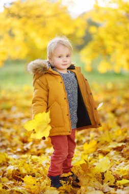 Küçük çocuk, güneşli sonbahar günü ormanda yürüyüş sırasında. Doğa üzerinde etkin aile zamanı. Küçük çocuklarla hiking