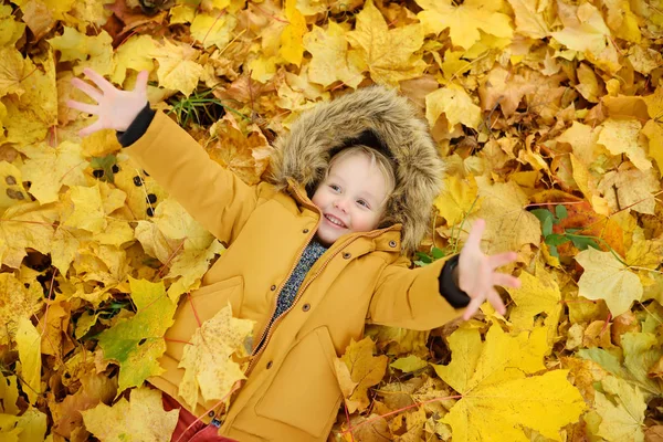 Niño Pequeño Durante Paseo Por Bosque Soleado Día Otoño Tiempo — Foto de Stock