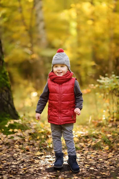 Mały Chłopiec Podczas Spaceru Lesie Słoneczny Dzień Jesieni Aktywny Czas — Zdjęcie stockowe