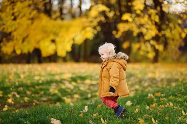 Kleine Jongen Tijdens Wandeling Het Bos Zonnige Herfstdag Actieve Familie — Stockfoto