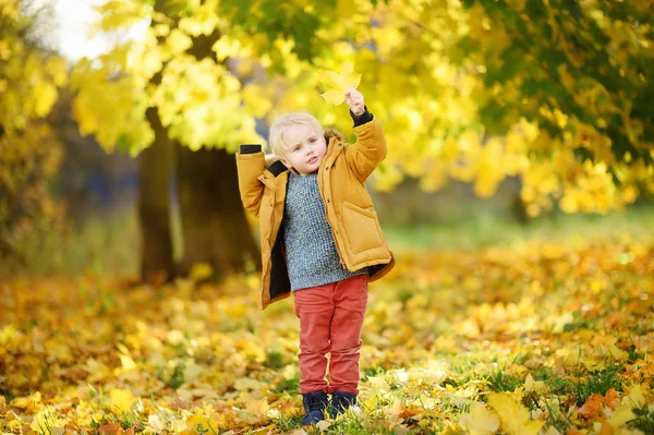 Ragazzino Durante Una Passeggiata Nella Foresta Nella Soleggiata Giornata Autunnale — Foto Stock