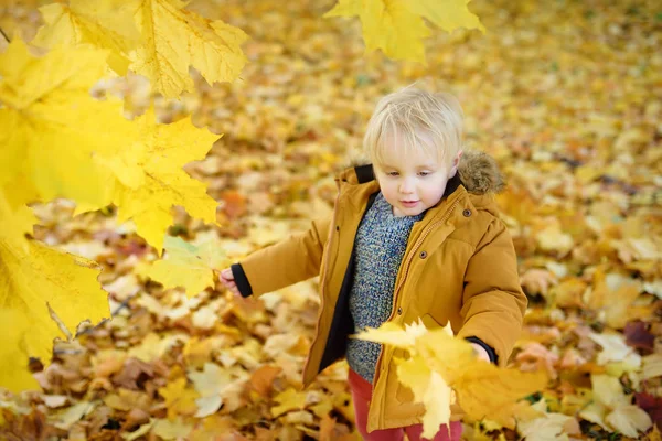 Ragazzino Durante Una Passeggiata Nella Foresta Nella Soleggiata Giornata Autunnale — Foto Stock