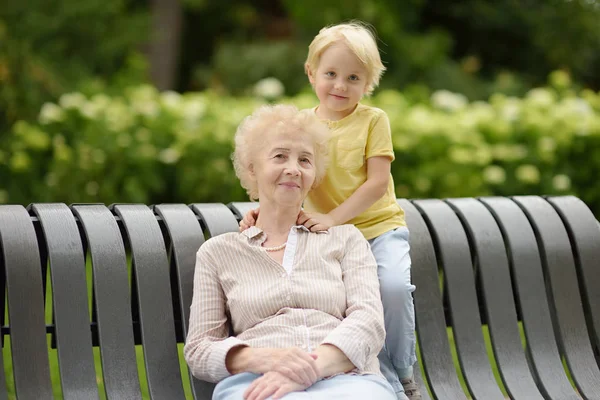 Bella Nonna Suo Nipotino Camminare Insieme Nel Parco Nonna Nipote — Foto Stock