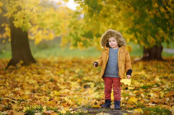 Ragazzino Durante Una Passeggiata Nella Foresta Nella Soleggiata Giornata Autunnale — Foto Stock