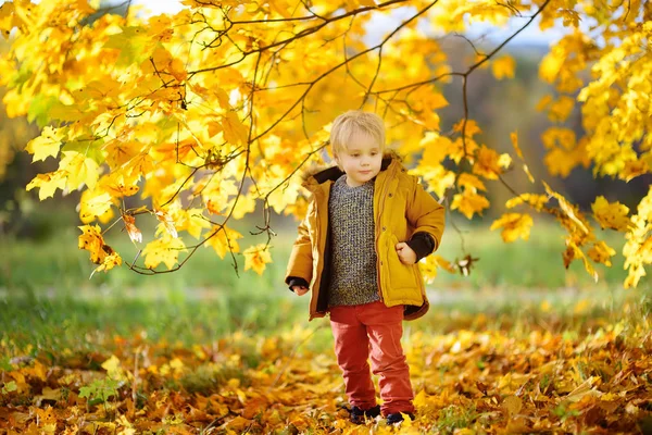 Ragazzino Durante Una Passeggiata Nella Foresta Nella Soleggiata Giornata Autunnale — Foto Stock