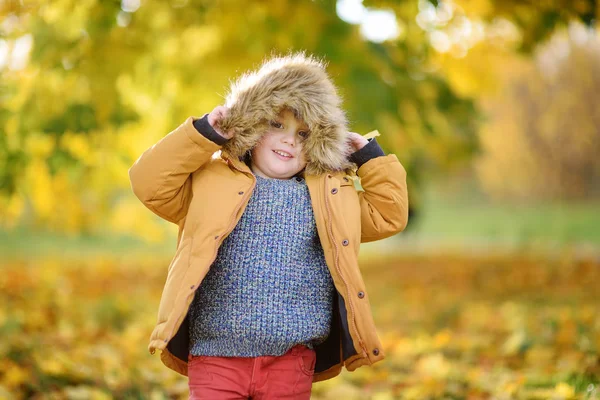 Ragazzino Durante Una Passeggiata Nella Foresta Nella Soleggiata Giornata Autunnale — Foto Stock