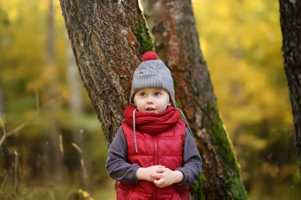 Ragazzino Durante Una Passeggiata Nella Foresta Nella Soleggiata Giornata Autunnale — Foto Stock