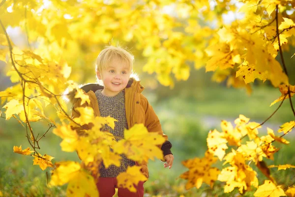 Мальчик Время Прогулки Лесу Солнечный Осенний День Активное Семейное Время — стоковое фото
