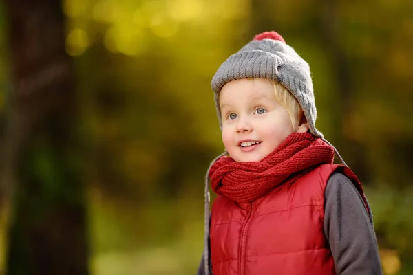 Kleiner Junge Bei Einem Waldspaziergang Einem Sonnigen Herbsttag Aktive Familienzeit — Stockfoto