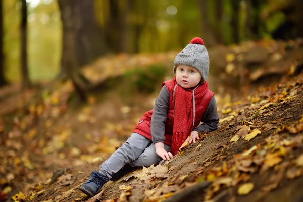 Mały Chłopiec Zostaje Ranny Podczas Spaceru Lesie Jesienny Dzień Aktywny — Zdjęcie stockowe