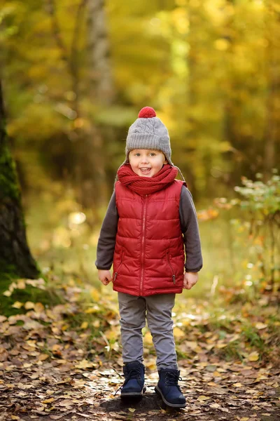 Ragazzino Durante Una Passeggiata Nella Foresta Nella Soleggiata Giornata Autunnale — Foto Stock