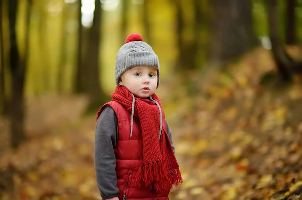 Ragazzino Durante Una Passeggiata Nella Foresta Nella Soleggiata Giornata Autunnale — Foto Stock