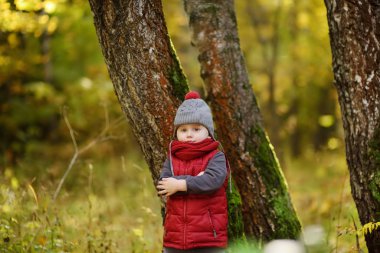Küçük çocuk, güneşli sonbahar günü ormanda yürüyüş sırasında. Doğa üzerinde etkin aile zamanı. Küçük çocuklarla hiking