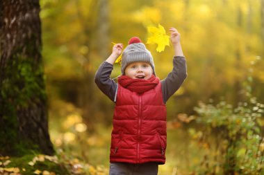 Küçük çocuk, güneşli sonbahar günü ormanda yürüyüş sırasında. Doğa üzerinde etkin aile zamanı. Küçük çocuklarla hiking