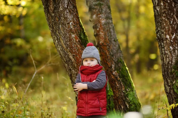 Μικρό Αγόρι Κατά Διάρκεια Της Βόλτα Στο Δάσος Στην Ηλιόλουστη — Φωτογραφία Αρχείου