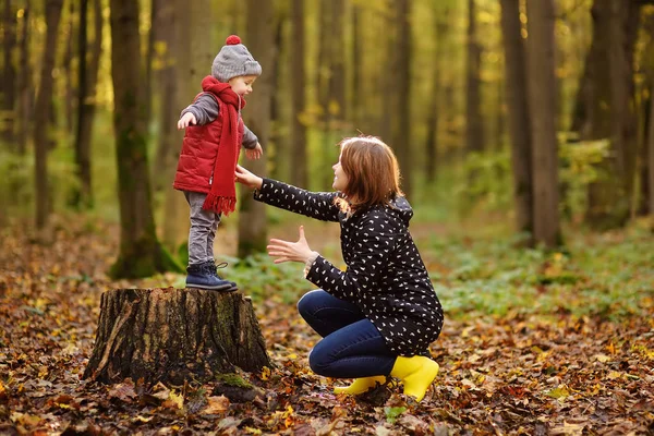 森の中を散歩中に若い母親を持つ少年 自然にアクティブな家族の時間 秋の日に小さな子供たちと楽しい — ストック写真