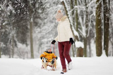 Küçük çocuk kızağı binmek zevk. Anne/Büyükanne/dadı kızak onun sevimli çocuk. Aile kış etkinlikleri açık havada.