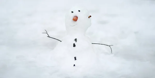 Handmade Snowman Snowy Park Active Outdoors Leisure Children Family Winter — Stock Photo, Image