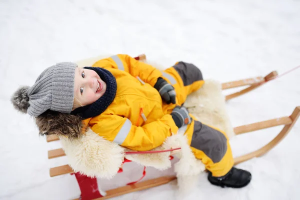 Маленький Хлопчик Насолоджується Катанням Санях Зимовому Парку Відкриті Зимові Заходи — стокове фото