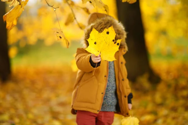 Ragazzino Durante Una Passeggiata Nella Foresta Nella Soleggiata Giornata Autunnale — Foto Stock