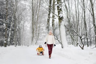 Küçük çocuk kızağı binmek zevk. Anne/Büyükanne/dadı kızak onun sevimli çocuk. Aile kış etkinlikleri açık havada.
