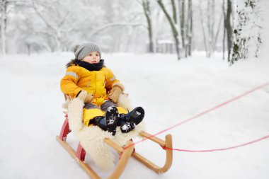 Küçük çocuk kış park kızağı binmek zevk. Açık kış aktiviteleri çocuklarla ailesi için. Kızakla memnun preshooler çocuk
