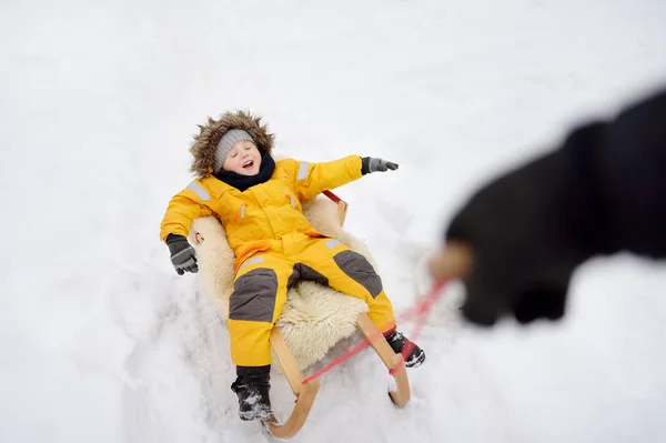 Little Boy Enjoying Sleigh Ride Winter Park Outdoor Winter Activities — Stock Photo, Image