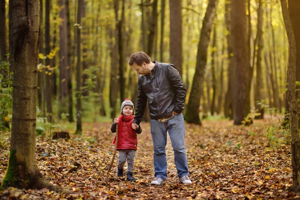 父と秋の森ハイキング活動中に歩いて彼の幼児の息子 自然にアクティブな家族の時間 秋の日に小さな子供たちと楽しい — ストック写真