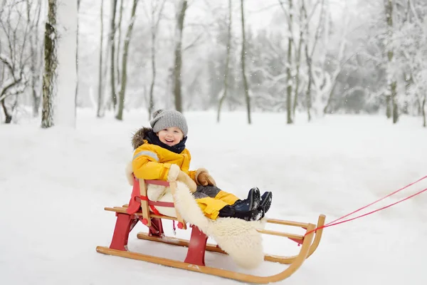 Mały Chłopiec Ciesząc Się Kulig Winter Park Zewnątrz Zima Wypoczynku — Zdjęcie stockowe