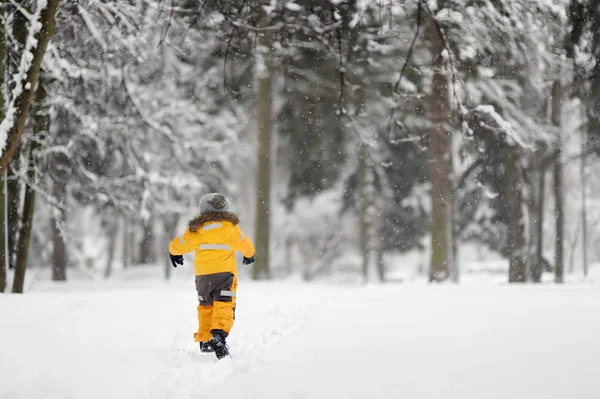 Mignon Petit Garçon Vêtements Hiver Jaunes Marche Dans Lors Une — Photo