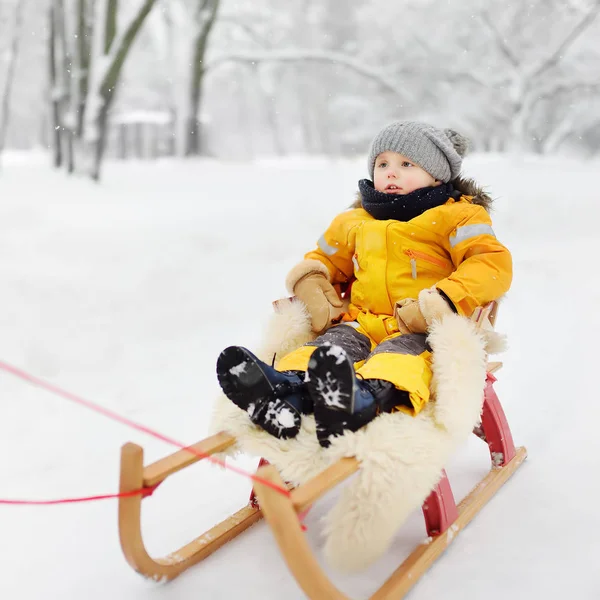 Маленький Хлопчик Насолоджується Катанням Санях Зимовому Парку Відкриті Зимові Заходи — стокове фото