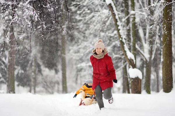 小男孩享受雪橇骑 保姆雪橇他可爱的孩子 户外家庭冬季活动 — 图库照片