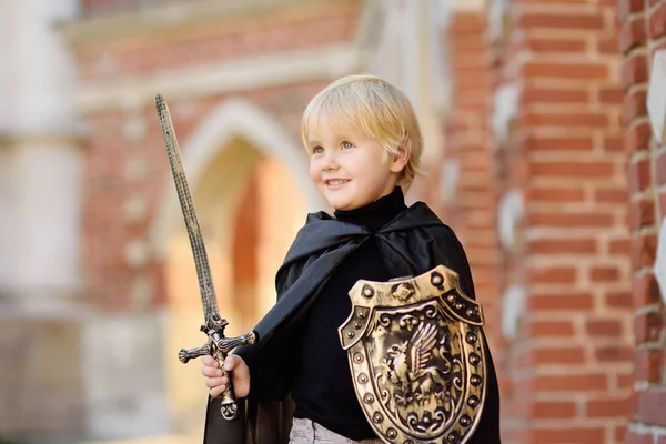 Portrait of a cute little boy dressed as a medieval knight with a sword and a shield. Medieval festival or costume party for kids