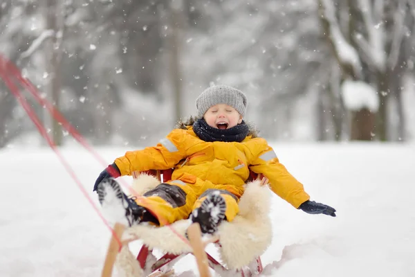 Little Boy Enjoying Sleigh Ride Winter Park Outdoor Winter Activities — Stock Photo, Image