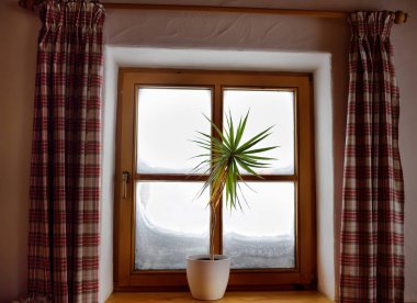Bir karlı kış gününde rahat görünümü alp dağ evi penceresinden. İçeriden görüntüleyin. Pencere kareli perdeli ve bir çiçek.