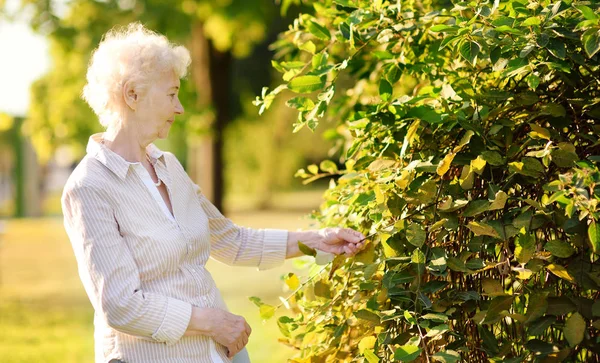 stock image Outdoor portrait of beautiful senior woman with curly white hair. Elderly lady walking in park