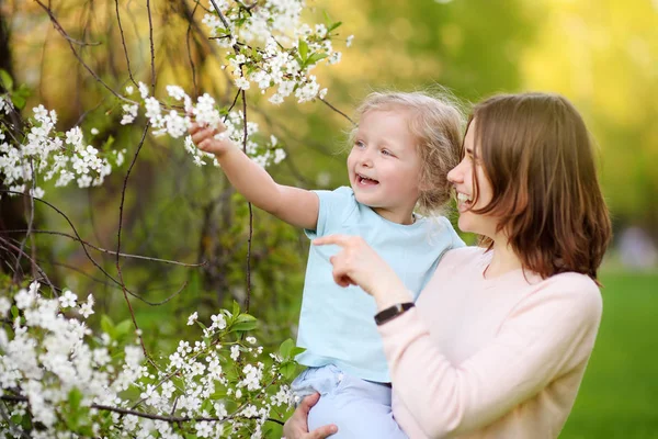 開花中にチェリーやリンゴの果樹園の美しい母親の腕の中でかわいい女の子 イースター 子供のための春アウトドア — ストック写真