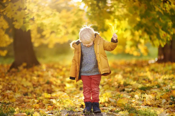 Ragazzino Durante Una Passeggiata Nella Foresta Nella Soleggiata Giornata Autunnale — Foto Stock