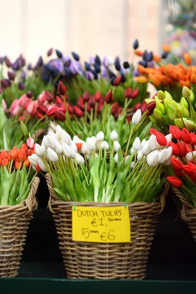 Slavný Amsterdam Květinový Trh Bloemenmarkt Vícebarevné Tulipány Symbol Nizozemska — Stock fotografie