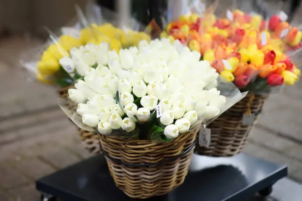 Famoso Mercado Flores Amsterdã Bloemenmarkt Tulipas Multicoloridas Símbolo Dos Países — Fotografia de Stock