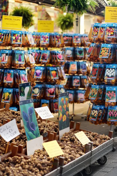 Beroemde Amsterdamse Bloemenmarkt Bloemenmarkt Tulpenbollen Calla Lelies Wortels Het Symbool — Stockfoto