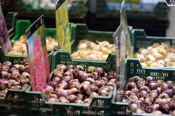 Famous Amsterdam Flower Market Bloemenmarkt Bulbs Hyacinths Gardening — Stock Photo, Image