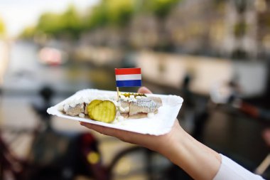 Kadın Amsterdam, Hollanda, fastfood pazarında plaka ünlü ringa balığı soğan ve salatalık ile tutun. Geleneksel Hollanda gıda.