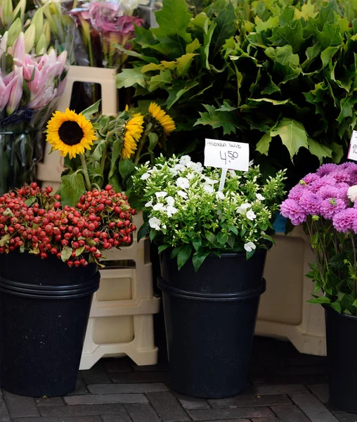 Famoso Mercado Flores Amsterdã Bloemenmarkt Dahlias Phlox Girassóis Outras Flores — Fotografia de Stock